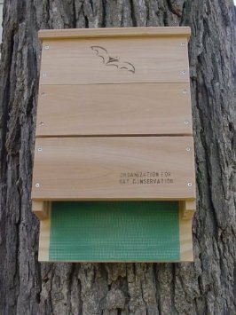 We supply bat boxes approved by the Organization for Bat Conservation.