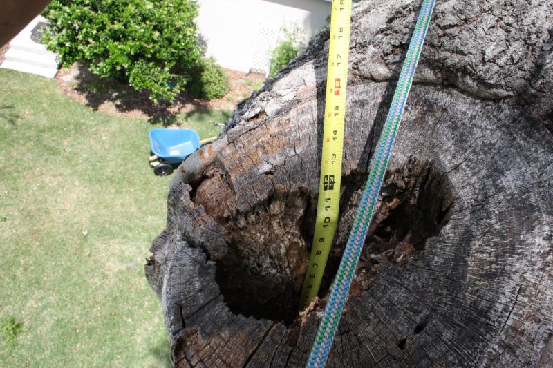 Aerial Hazard Assessment