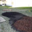 Mulch Applied