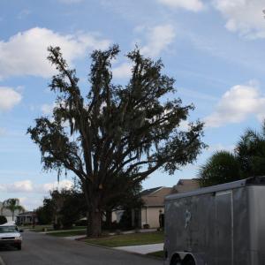 The reduction of approximatly 15-20 feet took place.