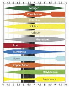 Ph Scale
